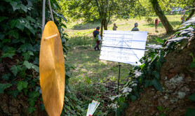 Concert d'oiseaux - Soundinitiative et Grégoire Lorieux