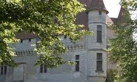 Château de Neuvic
