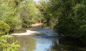 Les Chênaies de l'Adour