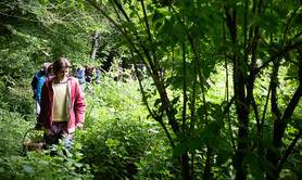 Des graines et des brouettes - Ateliers plantes aux vertus nourricières et guérisseuses