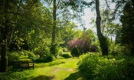 Belles Soirées d'été