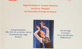 Stage de Flamenco