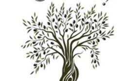 Mathilde de Lapeyre - Oléa, une ode à l'olivier.