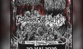 Galvanizer & Feral Forms + guests