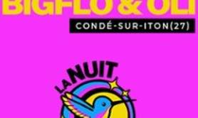 Bigflo et Oli - Festival  La Nuit des Colibris
