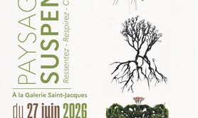 Paysages Suspendus 