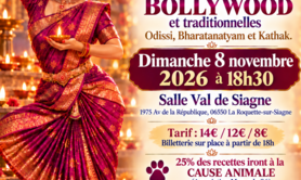 SPECTACLE ''DIWALI