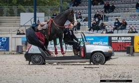 Christophe Arnaud - Arnaud Ranch & Spectacles