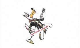 LES LOUPS GAROCK - Rock des années 60 et plus