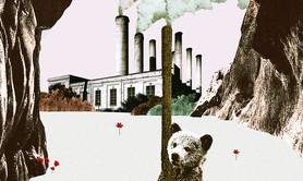 L'Ours - Lucille Beaune