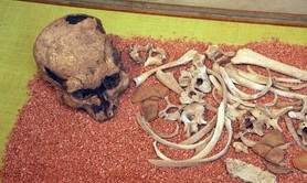 Maison d’Ossau - Musée d’Arudy