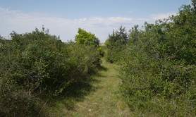 L’Espace Naturel Sensible Pelouse de Grand Vau