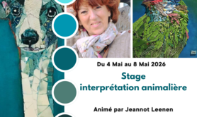 Stage mosaïque interprétation animalière