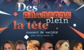 Des Chansons Plein la Tête