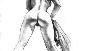 Artiste Rémunère Projet