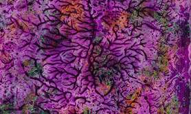 Jean Corrèze - Fractales 