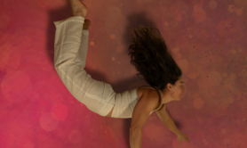 25e édition du FESTIVAL DOC CEVENNES 