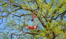 HYBRIDE | Sylvie Klinger – Eva Manin – Cie Olaf Linësky