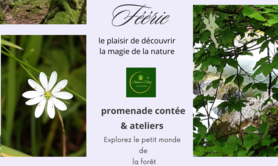 Frann  - anniversaires enfants en forêt 