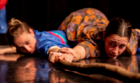 Zonardes - LABO Compagnie