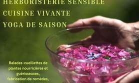 STAGE HERBORISTERIE, CUISINE CREATIVE, YOGA de SAISON, 