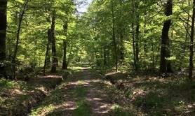 L’Espace Naturel Sensible : « Sentier de la Salamandre »
