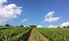 La Cabane dans les Vignes