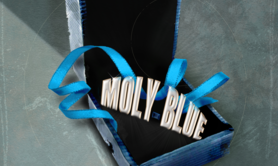 Moly Blue - Duo guitare voix Jazz&Soul