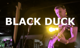 Black Duck - folk rock