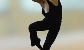 Stage de Danse d'Eté avec Nick Blumenfeld