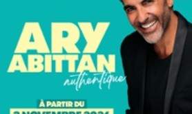 Ary Abittan - Authentique - Théâtre Marigny, Paris