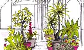 Terre & Feu Maisons Laffitte  - Formation Intensive Dessin 