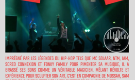 Stan Fort  - Incerta Mundi 