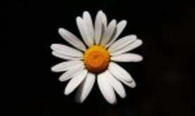 AFAC33 - PRISE DE PAROLE EN PUBLIC CONFERENCE REUNION