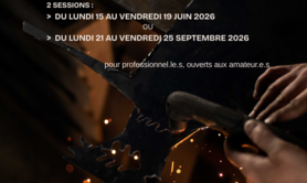 Julien Clar - Stage métal en immersion