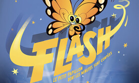 Flash, Le Petit papillon dont les minutes sont contées