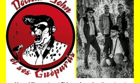 Dr John et ses Guépards