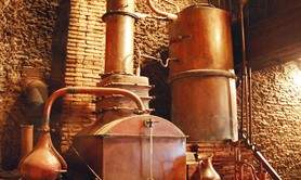 Domaine Départemental d'Ognoas