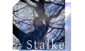 Steven CHOUPAUX - Stalke 