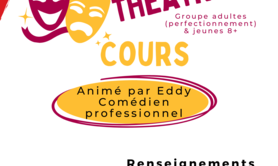 Association La Plomberie du Canal - Cours de théâtre Adultes(perfectionnement)