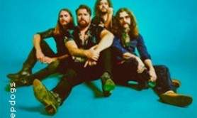 The Sheepdogs
