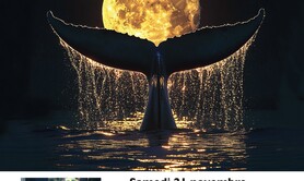 FESTIVAL CONTES ET RENCONTRES - Françoise Pecchiura