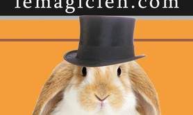 Magicien SAROYAN - La magie insolite de Saroyan