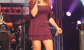 Sandy Stieven - concert, tribute, vin d'honneur, the dansant