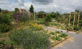 Conservatoire des Légumes Anciens du Béarn
