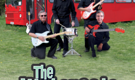 WATERCATS - groupe de reprise des SHADOWS 