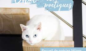 Chatventures poétiques, livre disque de poésies félines