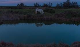 Anne Affortit - Stage Photo Gard