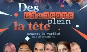 Des chansons plein la tête