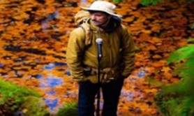 Cyril Rosique - Sans Repère - Le Lieu, Paris